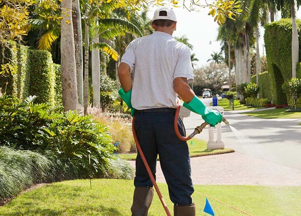 About Chester GA Pest Control Pros